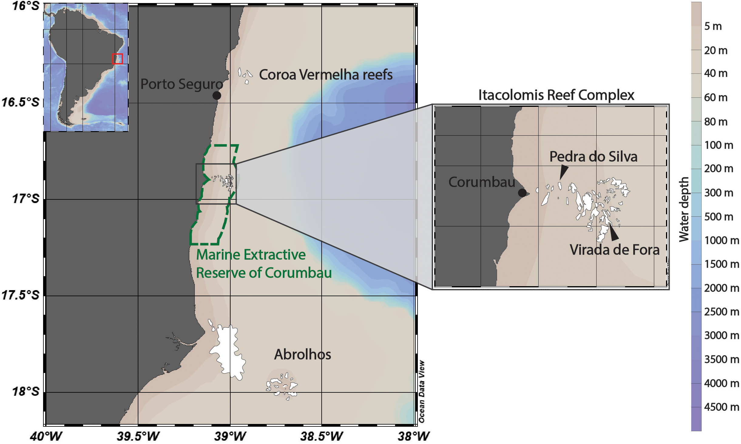 Coral Reefs of Brazil