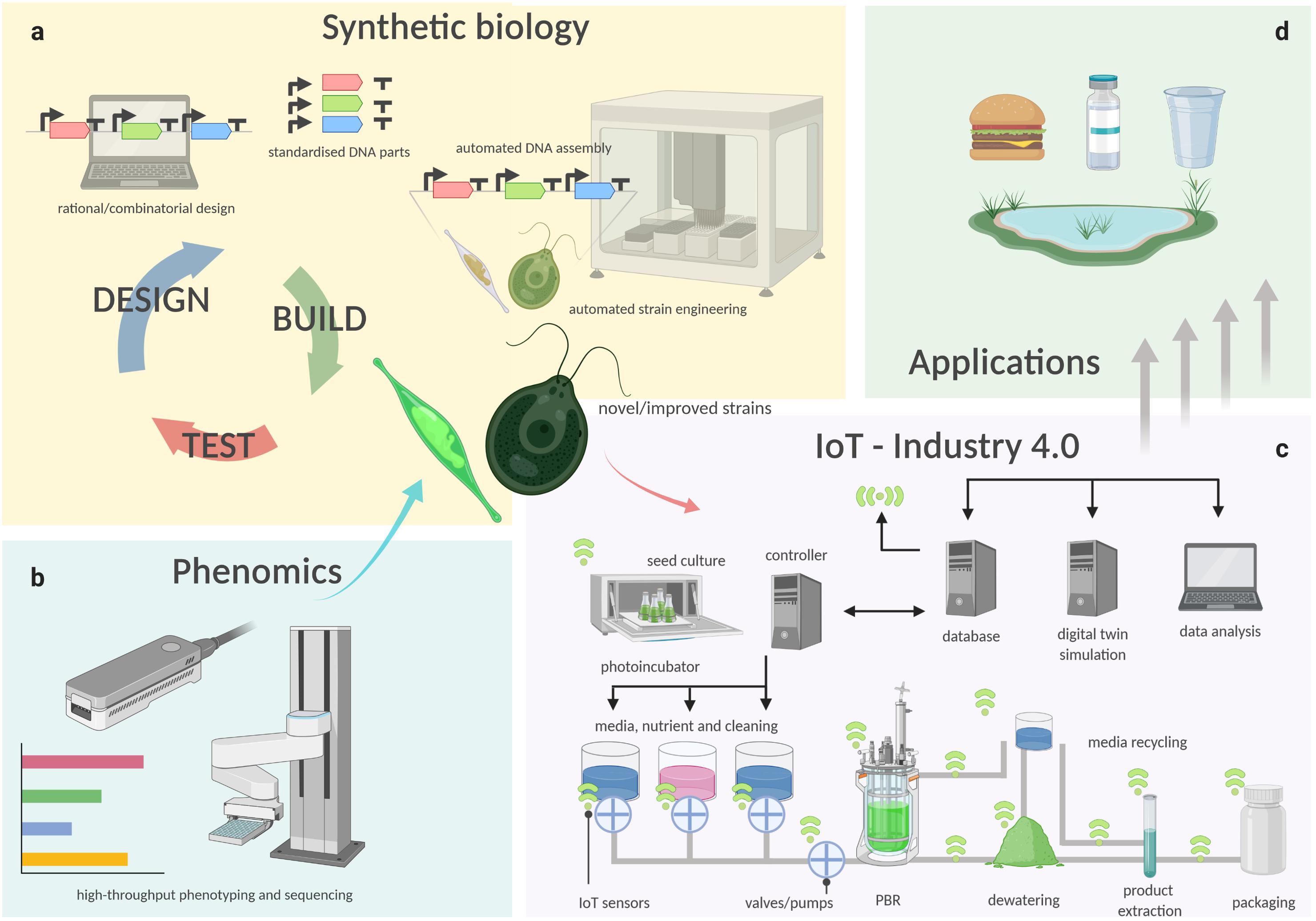 Advanced Topics in Optoelectronics, Microelectronics, and Nanotechnologies IX| Publications | Spie