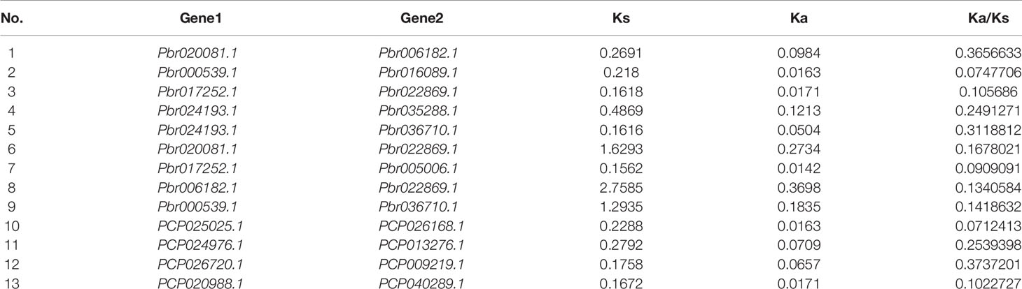 Frontiers  A Chinese White Pear (Pyrus bretschneideri) BZR Gene PbBZR1 Act  as a Transcriptional Repressor of Lignin Biosynthetic Genes in Fruits
