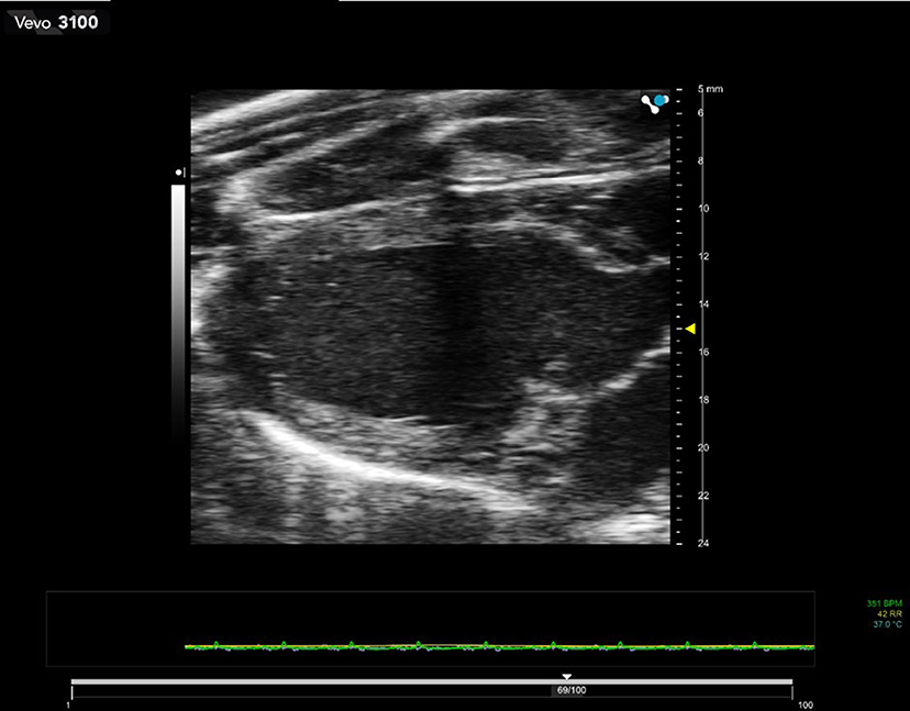 Frontiers  Preclinical Ultrasound Imaging—A Review of Techniques and  Imaging Applications