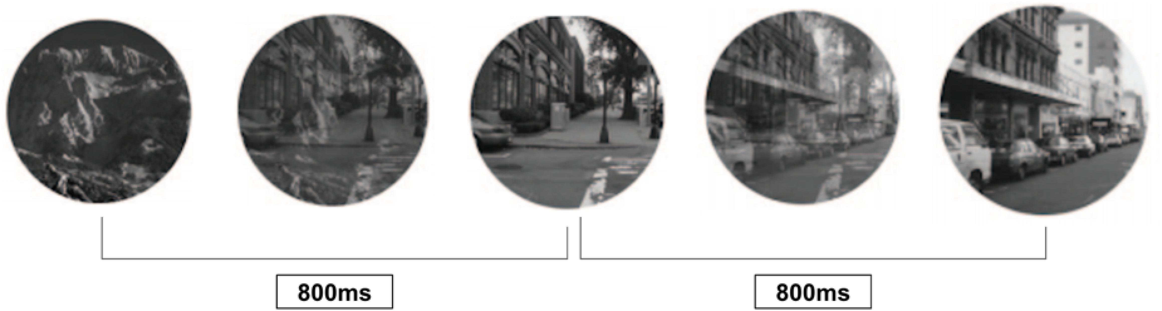 www.frontiersin.org