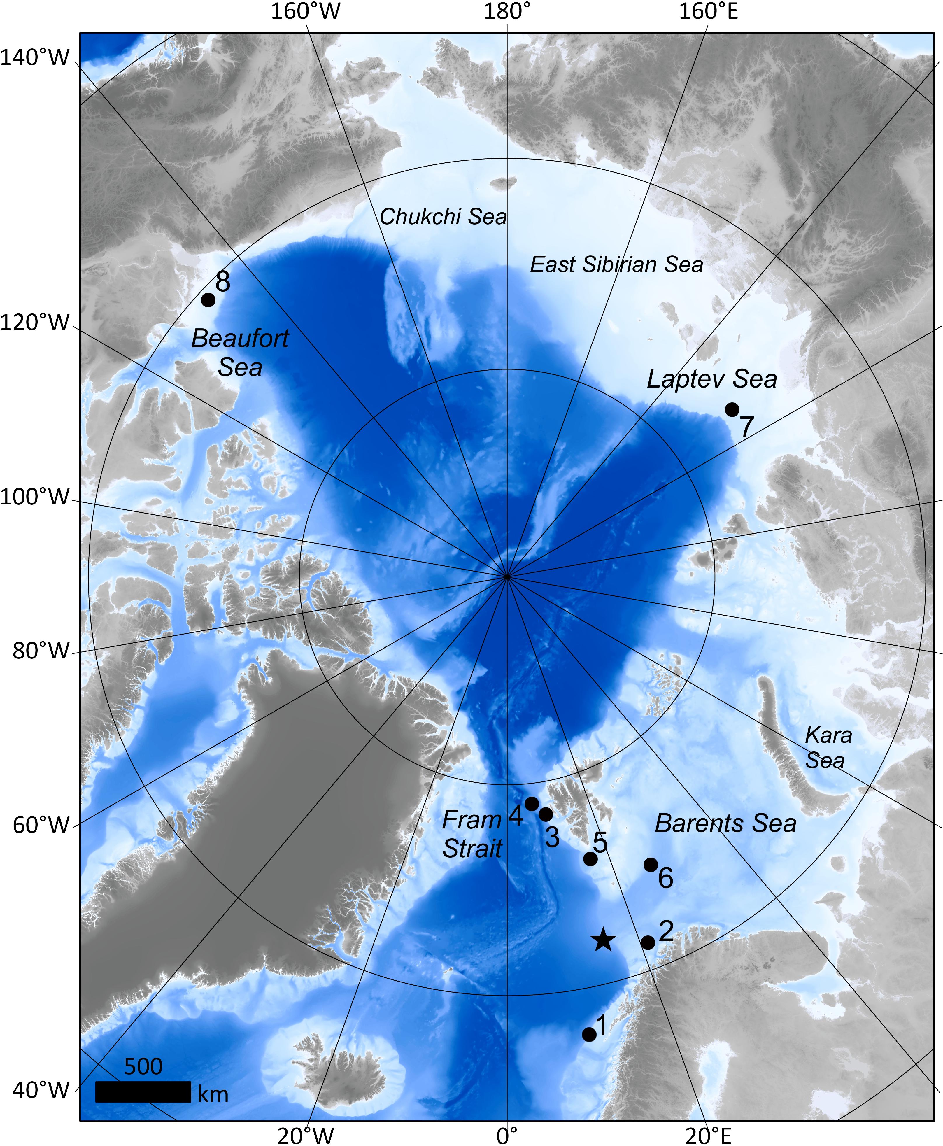 Frontiers | Cold Seeps in a Warming Arctic: Insights for Benthic