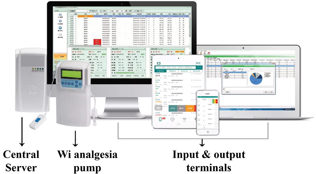 Patient-Controlled Analgesia Pumps