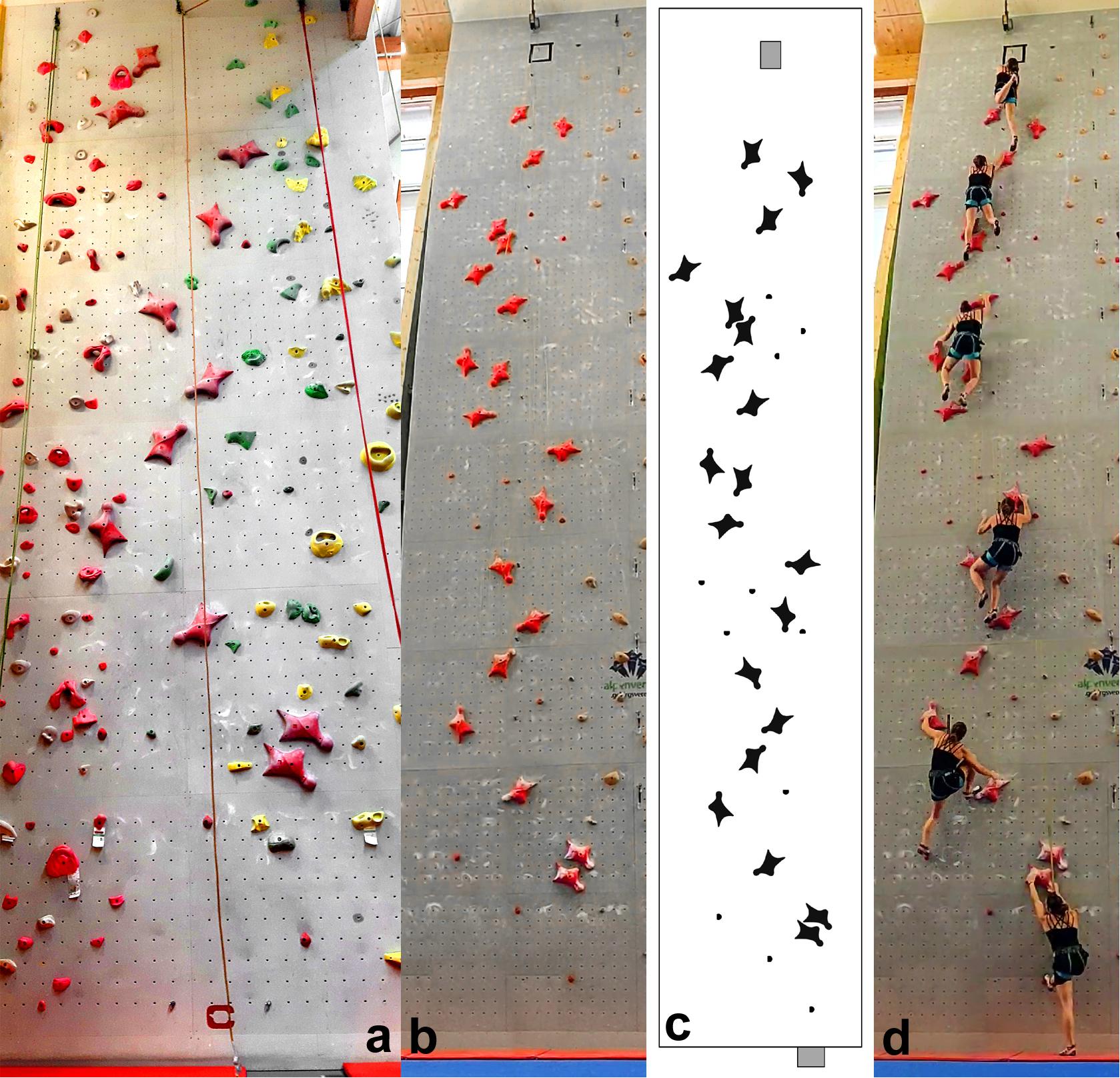 2 Foot 1 Hand Climbing Holds for Speed Climbing with Complete Hardware 