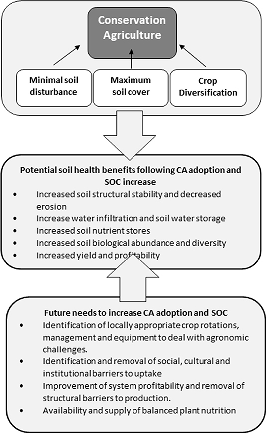 Frontiers Publishing Partnerships  Changes in Soil Phosphorus Pools in  Long-Term Wheat-Based Rotations in Saskatchewan, Canada With and Without  Phosphorus Fertilization