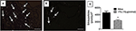 www.frontiersin.org