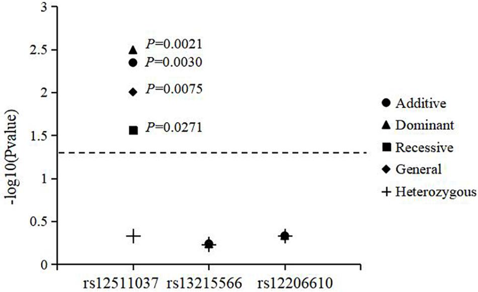 fgene-11-00276-g002.jpg