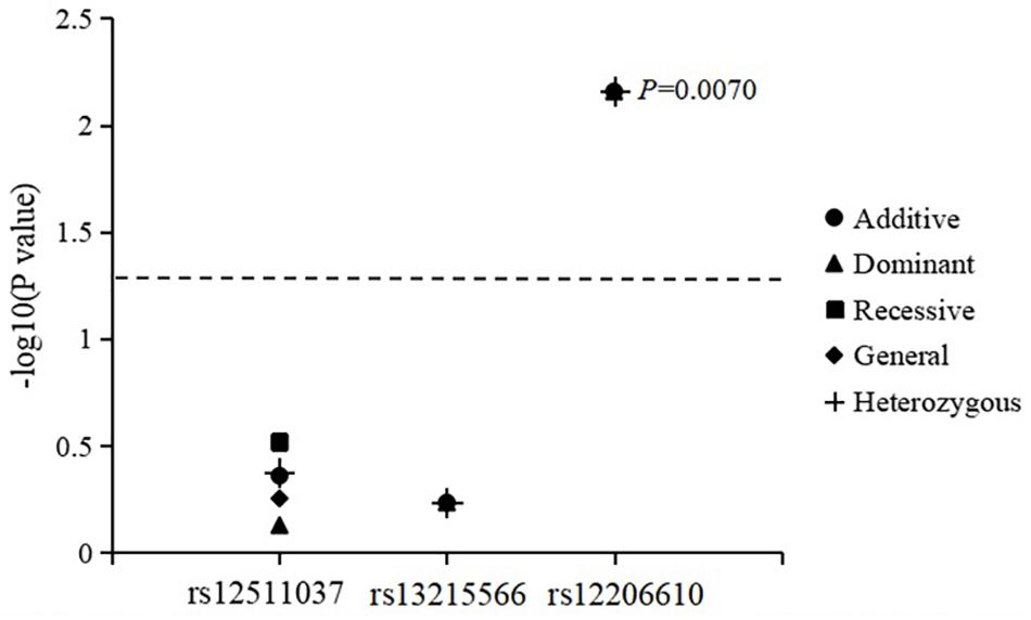 Frontiers | Genome-Wide Association of Genetic Variants With Refraction ...