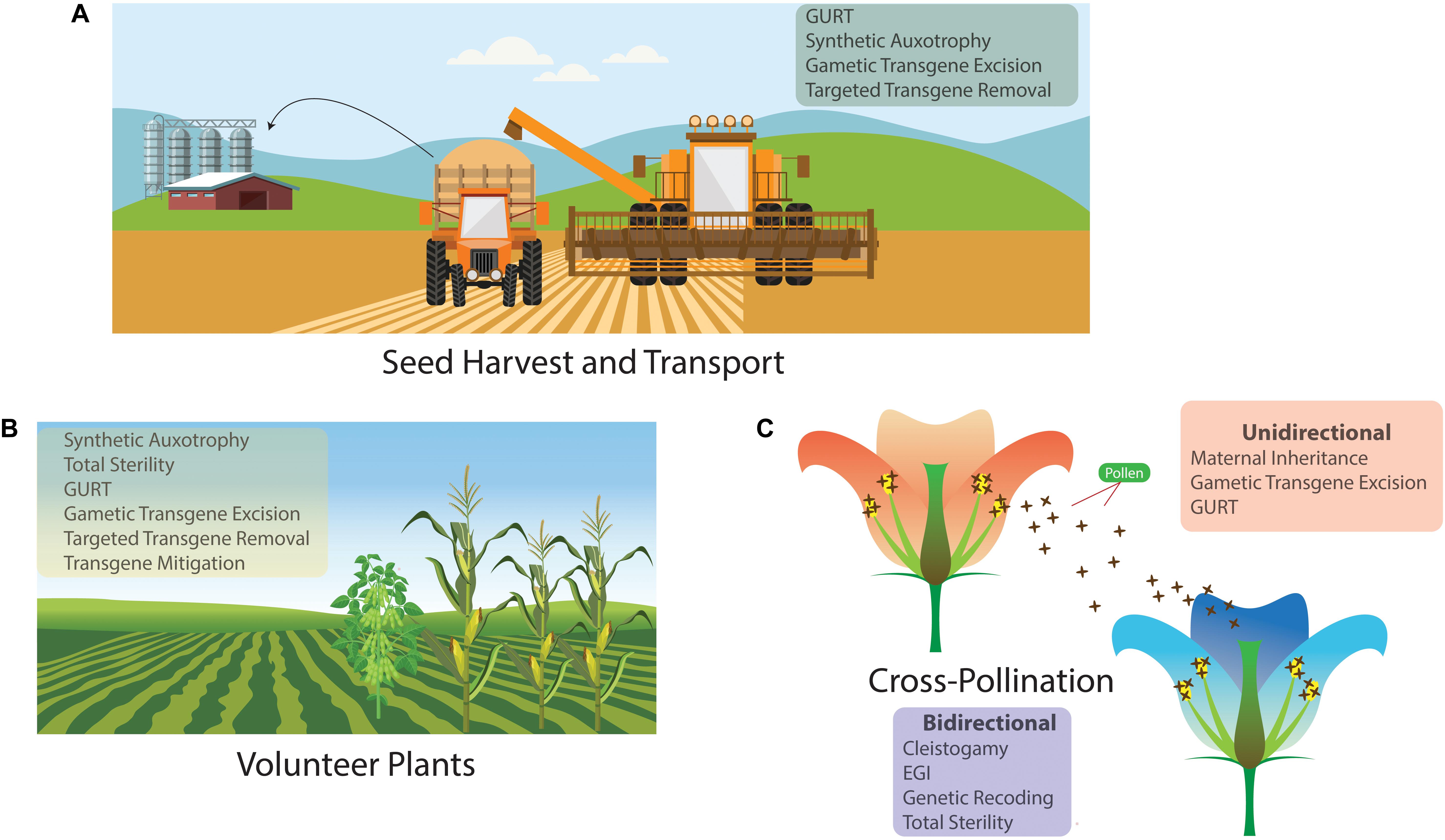 Frontiers | Transgene Biocontainment Strategies for Molecular Farming
