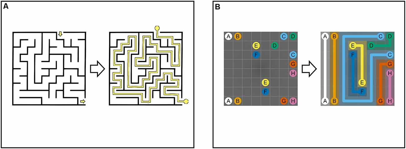 Mazes for Kids Ages 4-8: Maze Activity Book, Fun Mazes with Facts and Educational Information for Kids Ages - 4-6, 6-8 -, Games and Problem Solving Activities. [Book]