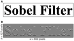 www.frontiersin.org