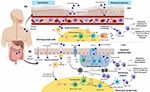 Frontiers | A Comprehensive Review on Natural Bioactive Compounds and