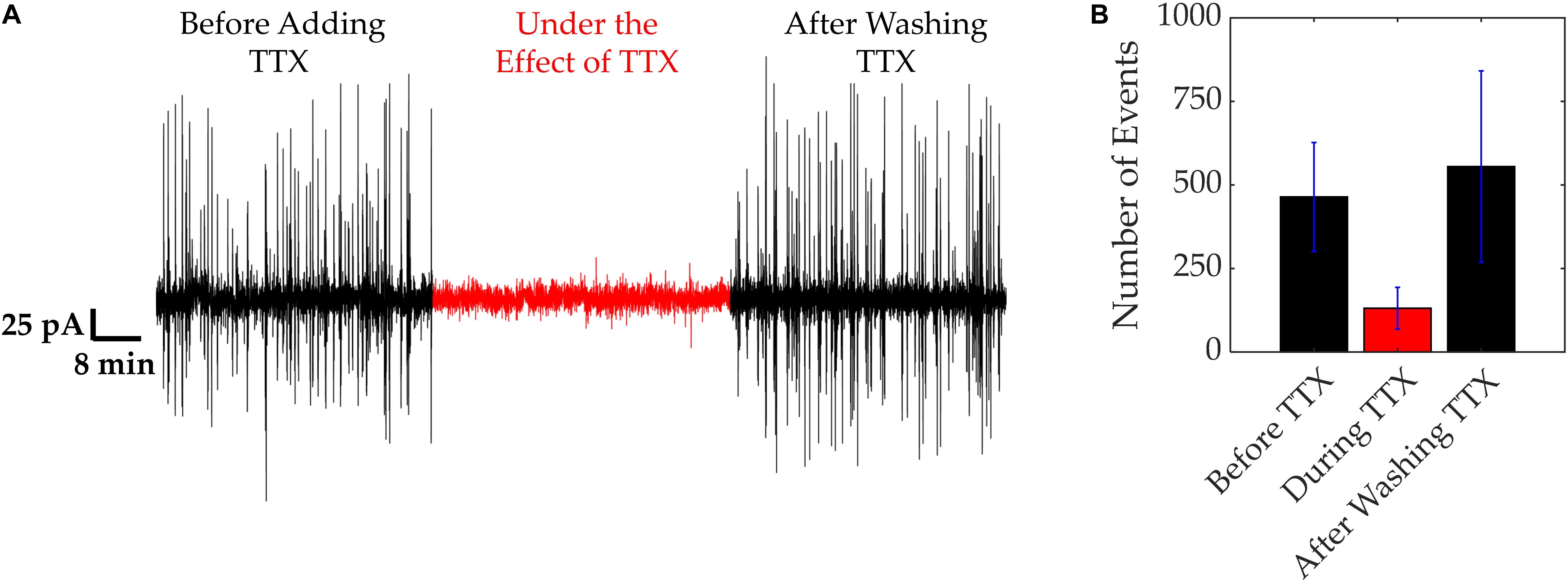 www.frontiersin.org