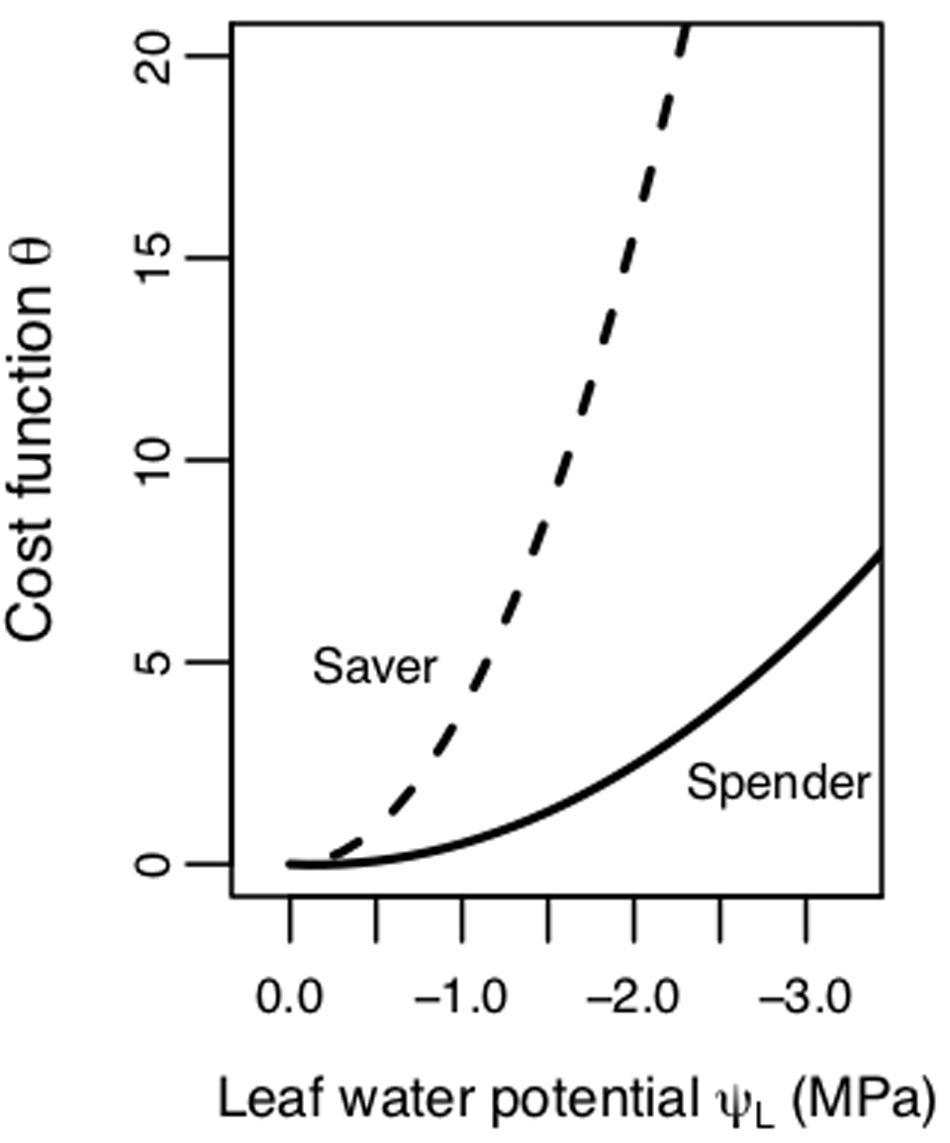 www.frontiersin.org