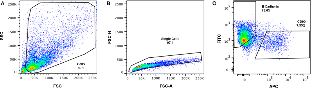 ncplot cd