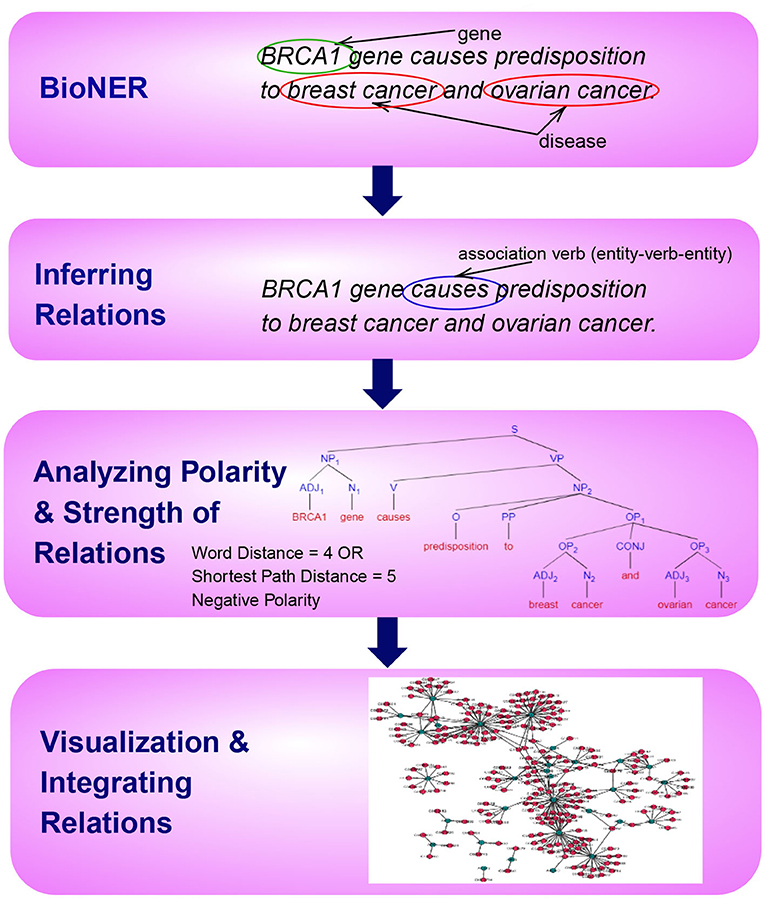 Synonyms used for cluster analysis methods., analysis synonym