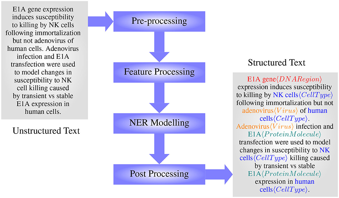 Synonym extraction and abbreviation expansion with ensembles of semantic  spaces, Journal of Biomedical Semantics