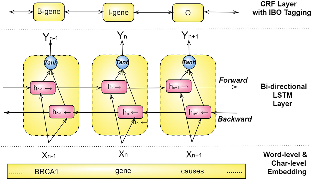 Biomedical named entity normalization via interaction-based