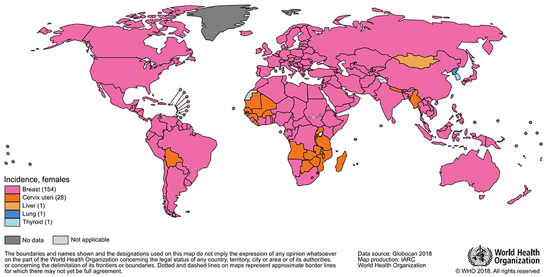 Atlas of breast cancer early detection