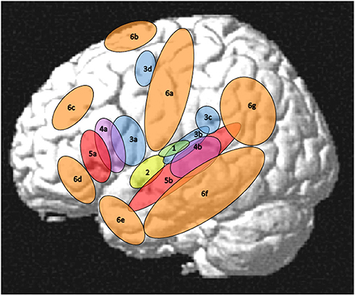 PDF] Low-Dimensional Structure in the Space of Language Representations is  Reflected in Brain Responses