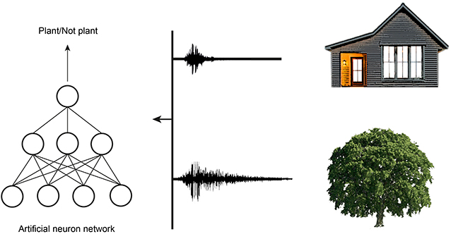 Figure 4 - Objects with different structures produce echoes with different characteristics.