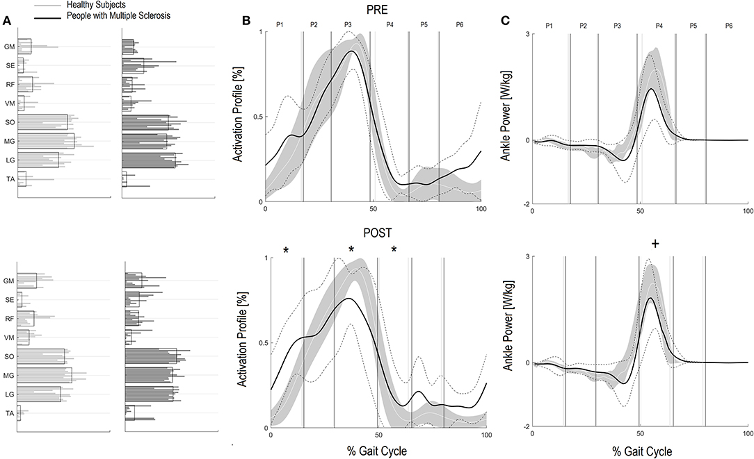 Frontiers Improved Gait of Persons With Multiple Sclerosis After