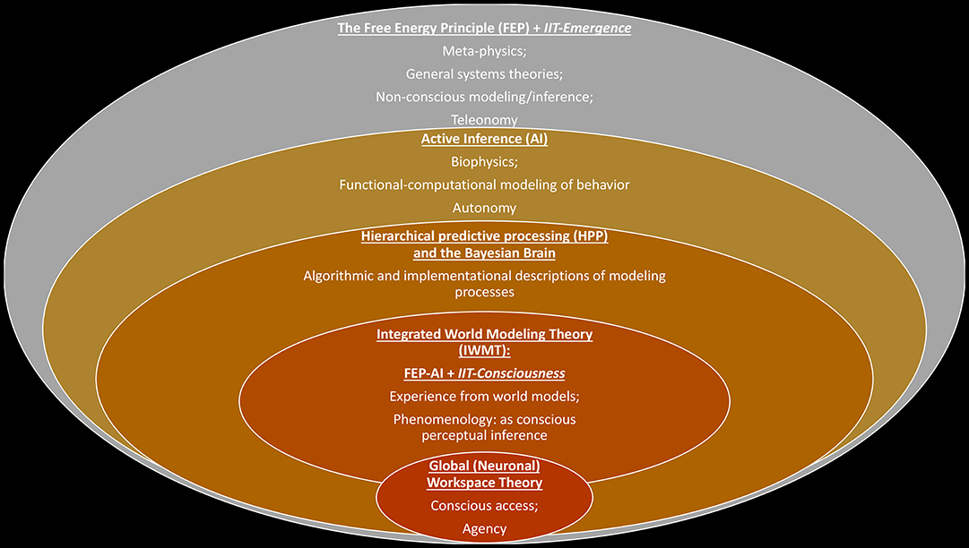 future  Qualia Computing