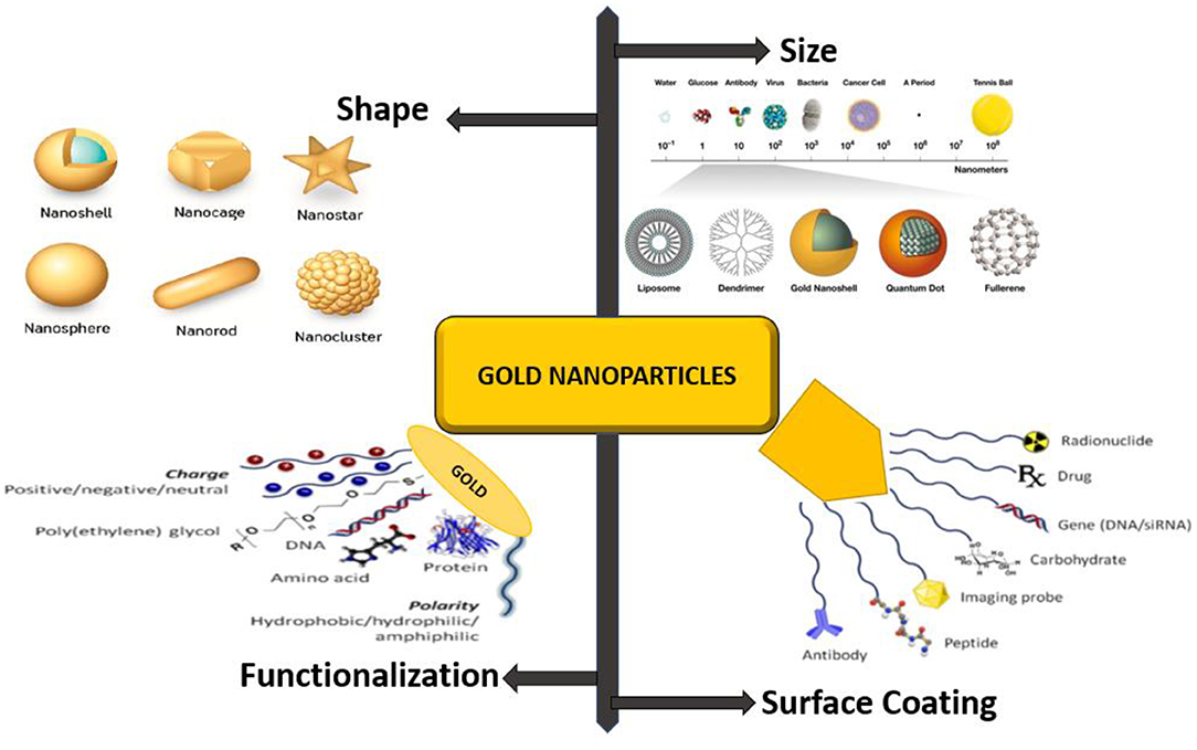Gold-digging bacterium makes precious particles