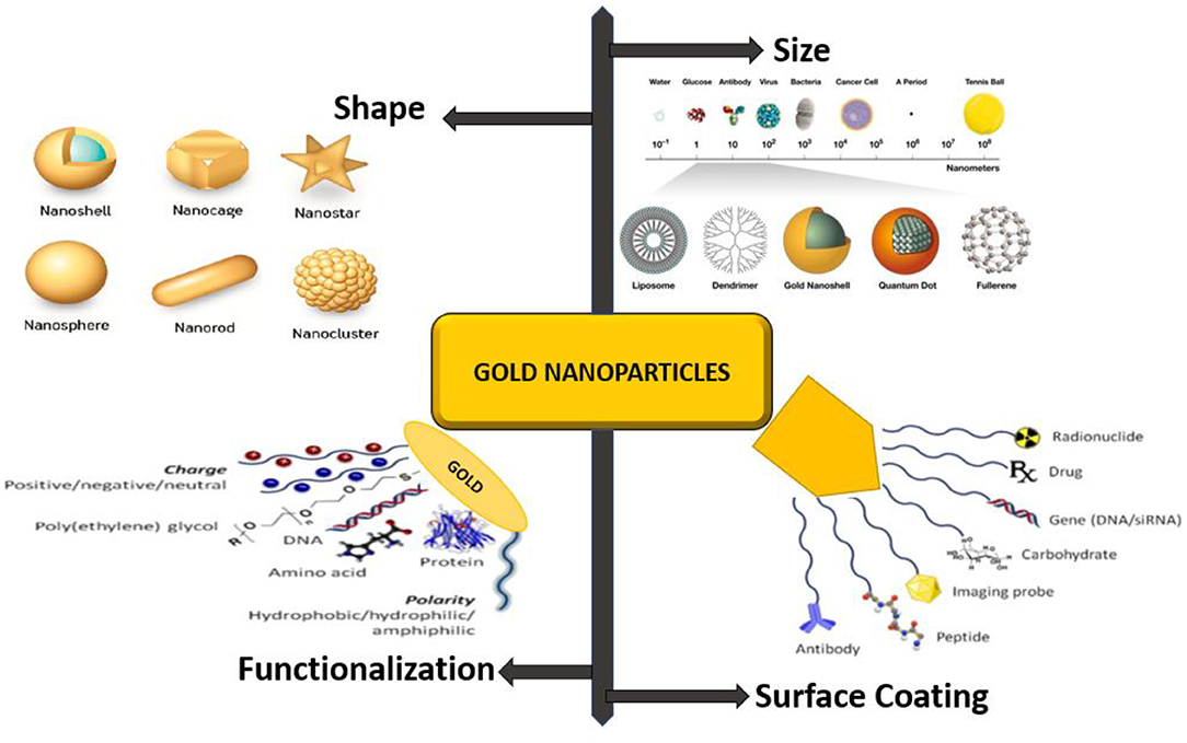 Frontiers - Gold, Silver, and Palladium Nanoparticles: A Chemical Tool ...