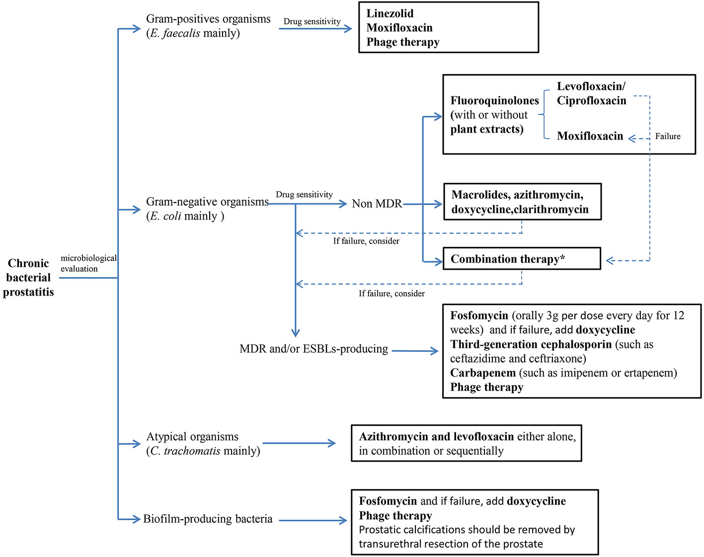 pharmacological interventions for bacterial prostatitis