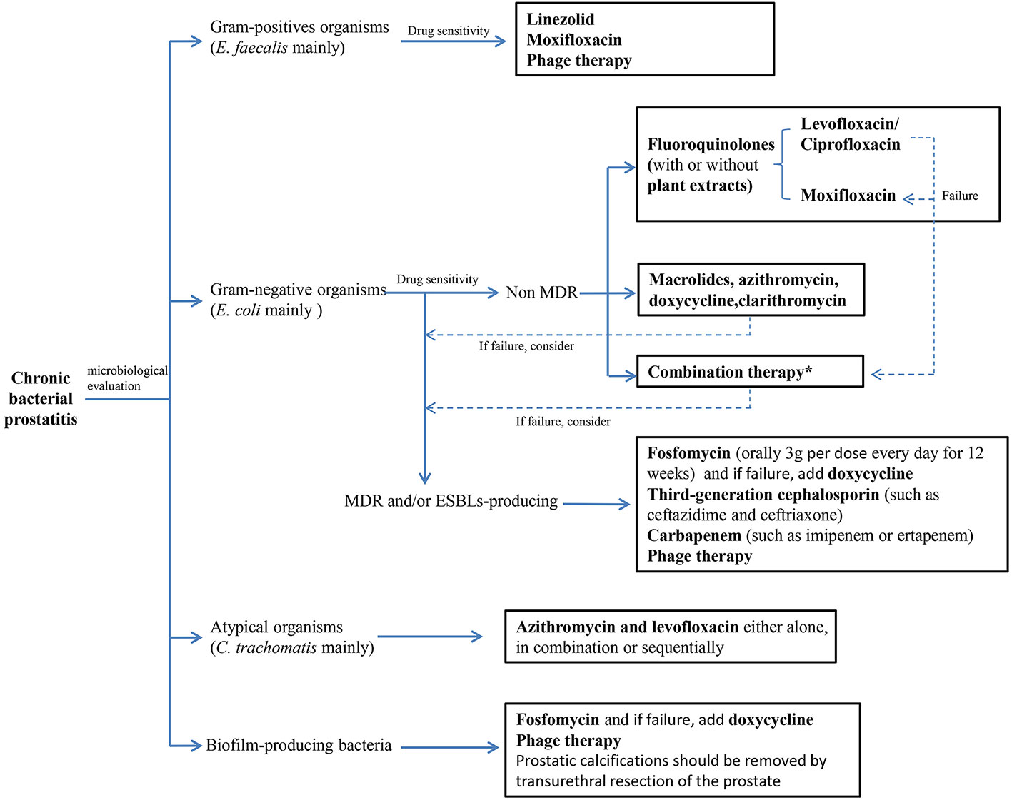 levofloxacin and azithromycin for prostatitis