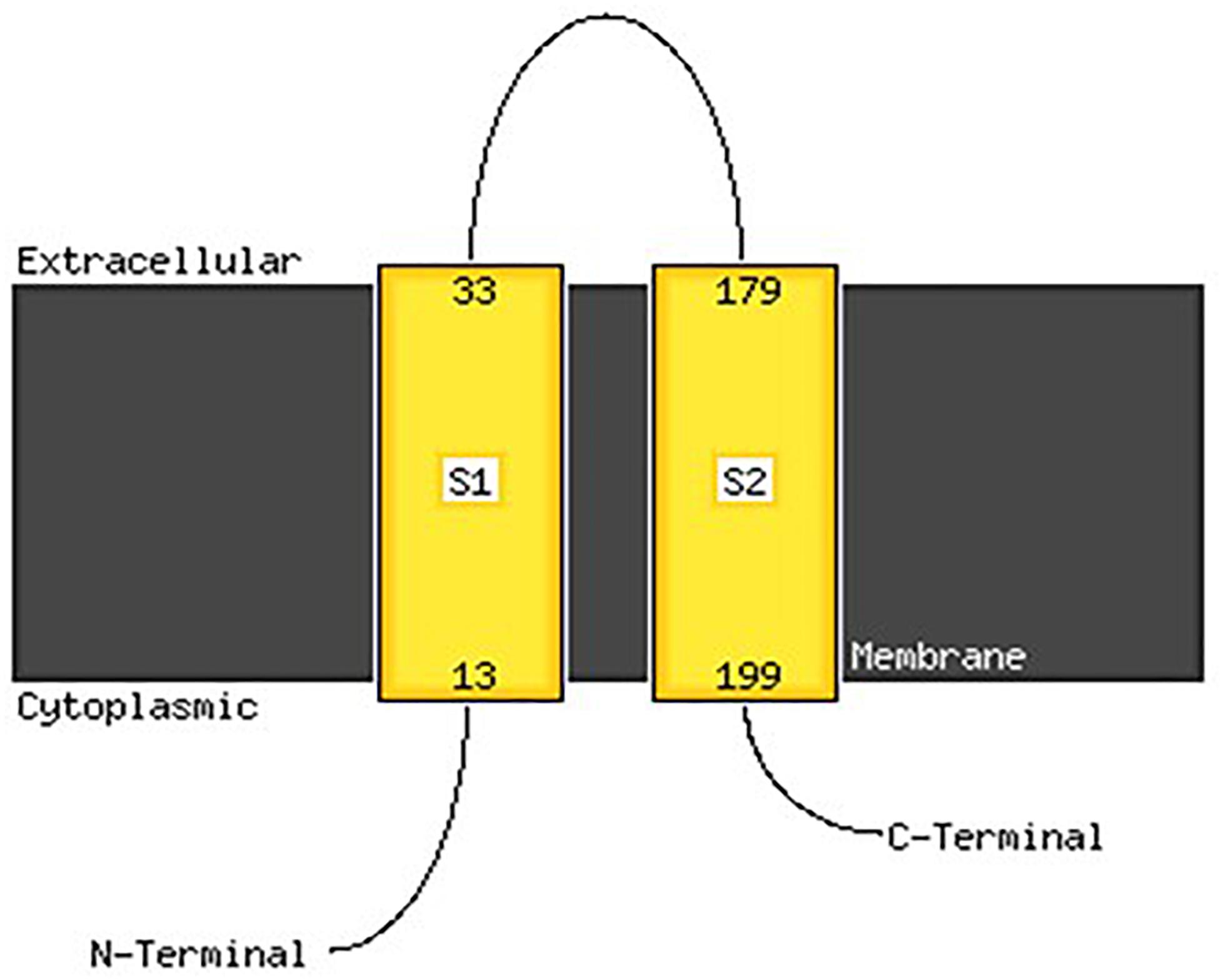 www.frontiersin.org