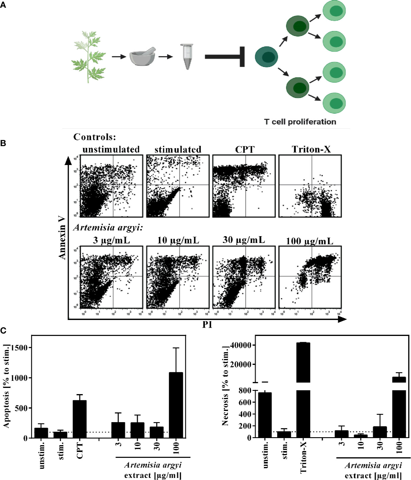 dermatitis 11 év