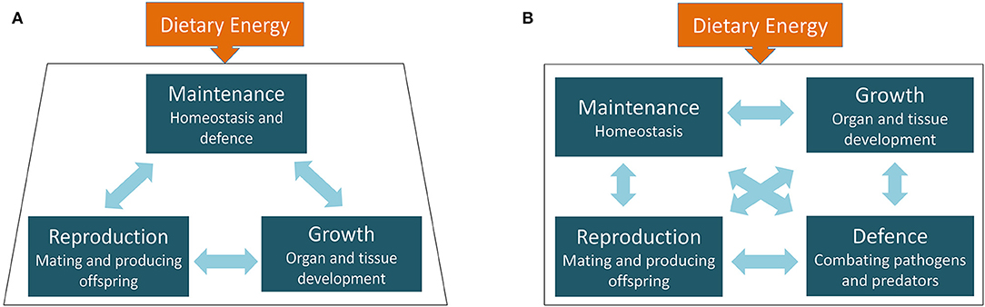 positive effects of the neolithic revolution