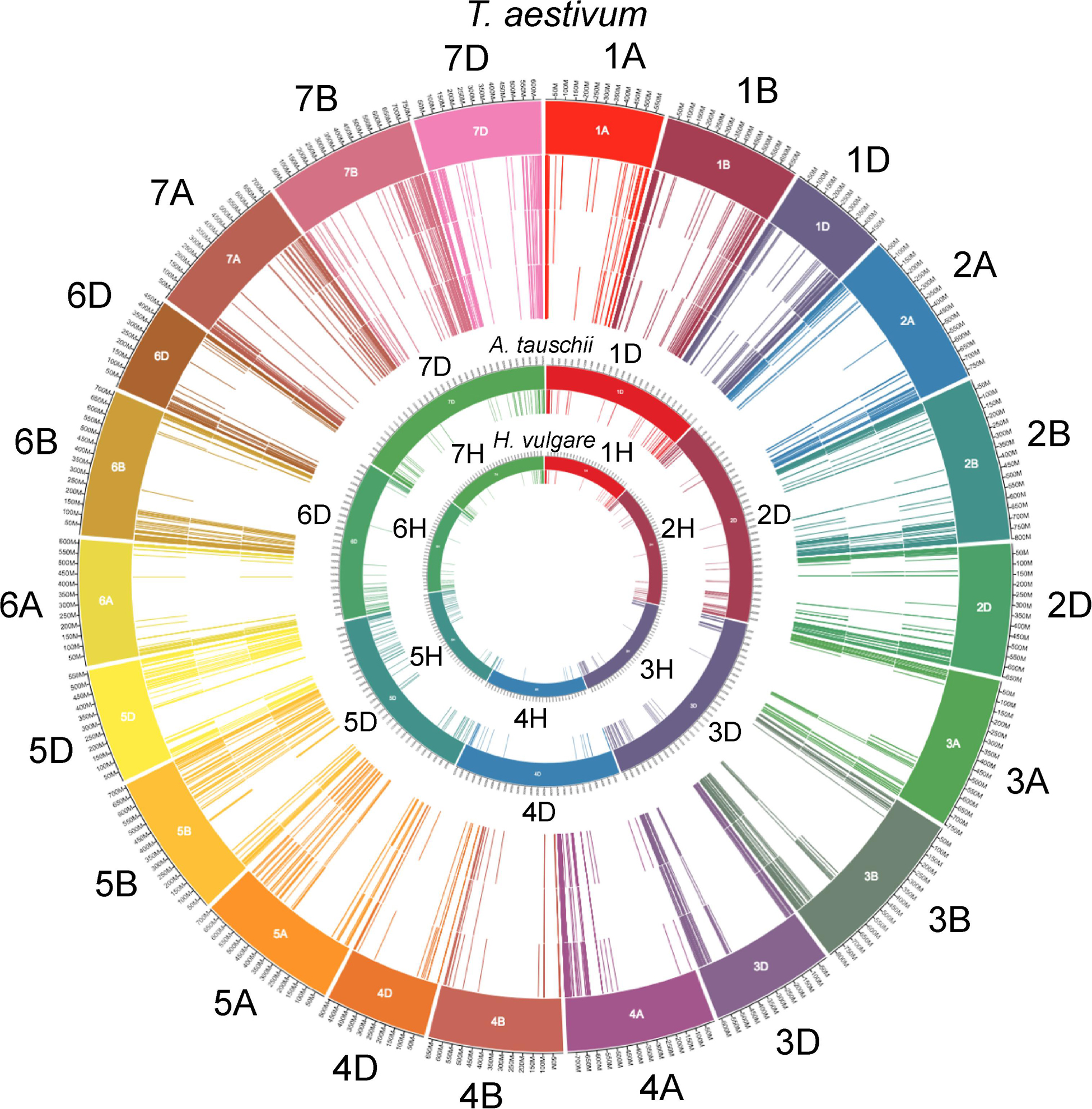 Frontiers Wheat Disease Resistance Genes And Their Diversification Through Integrated Domain Fusions Genetics