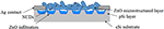 www.frontiersin.org