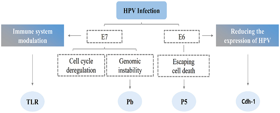 vaccin hpv reactii adverse)