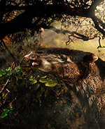 www.frontiersin.org