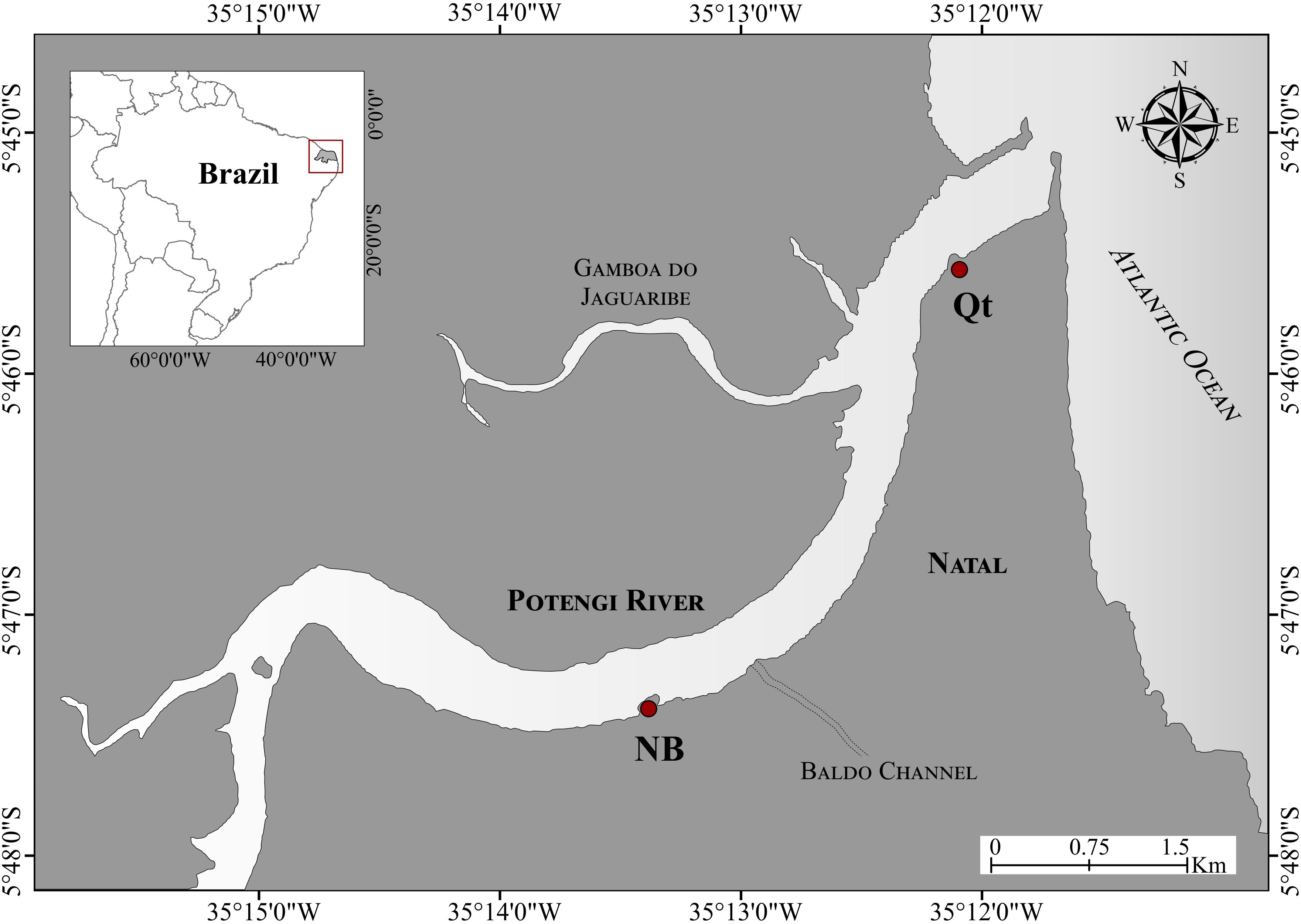 www.frontiersin.org