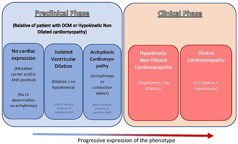 Frontiers  Multi-Modality Imaging in Dilated Cardiomyopathy: With a Focus  on the Role of Cardiac Magnetic Resonance