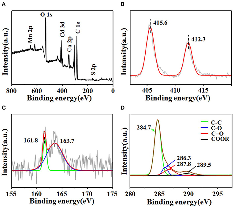 Frontiers | Preparation of High-Performance CdS@C Catalyst
