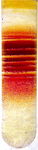 www.frontiersin.org
