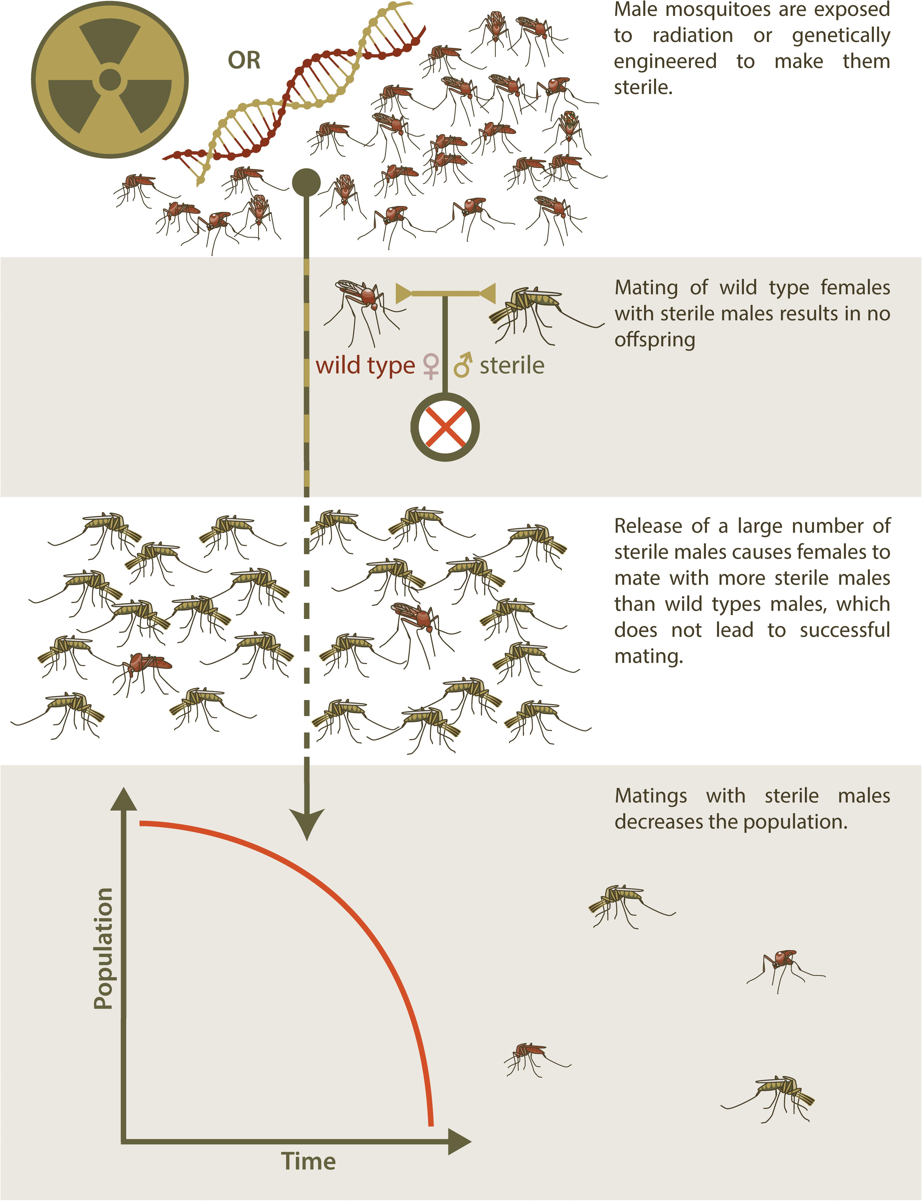 This Ant Species May Support a Controversial Theory on Evolution