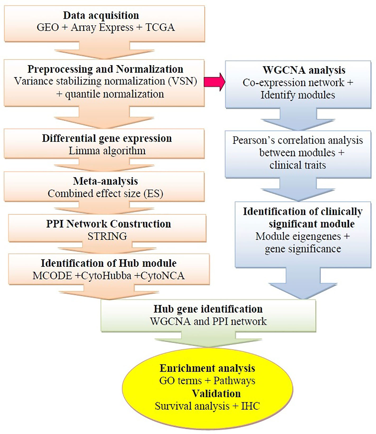 Frontiers Integrated Ppi And Wgcna Retrieval Of Hub Gene Signatures Shared Between Barrett S Esophagus And Esophageal Adenocarcinoma Pharmacology