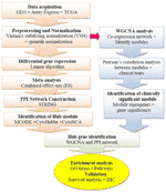 Frontiers | Integrated PPI- and WGCNA-Retrieval of Hub Gene Signatures ...