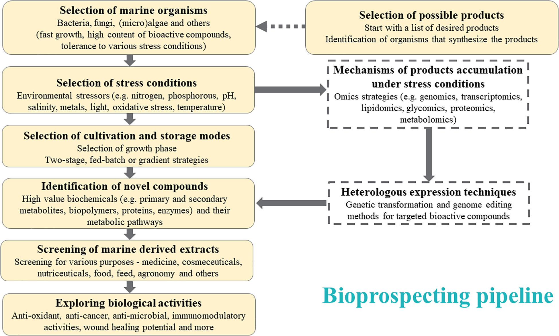 marine biology research essay topics