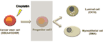 www.frontiersin.org