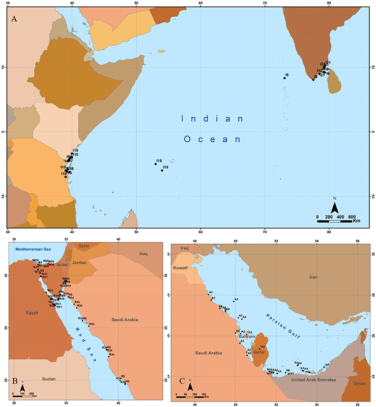 www.frontiersin.org