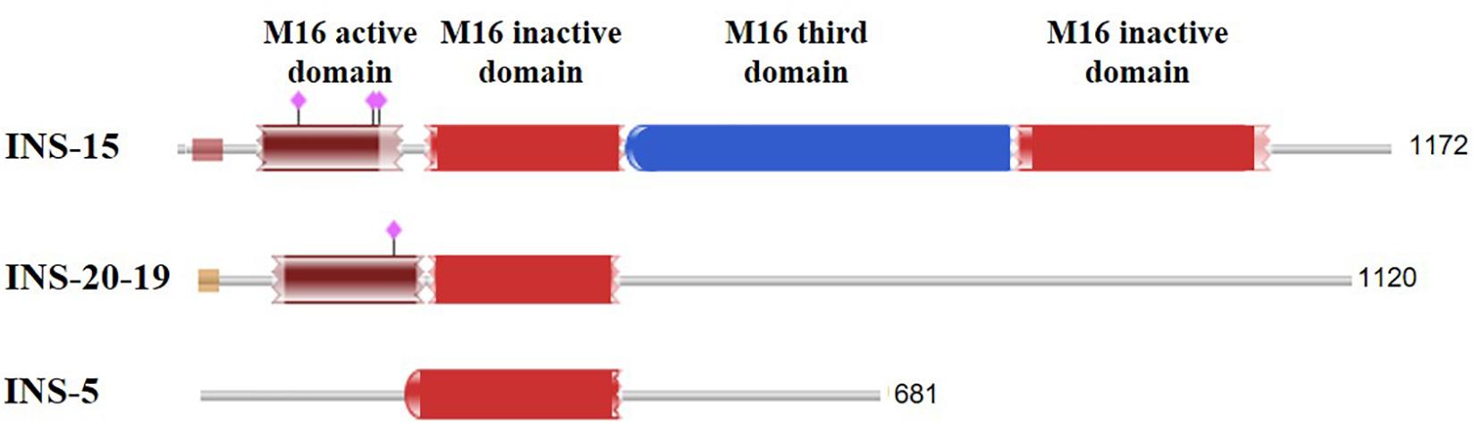 www.frontiersin.org