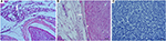 www.frontiersin.org